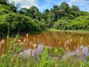 Fazenda de 484ha em Uruará/PA