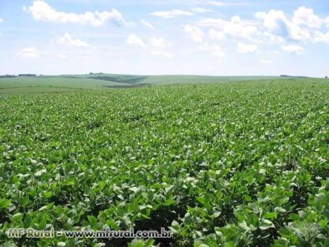 ÓLEO MINERAL PARA AGRICULTURA (OPPA).