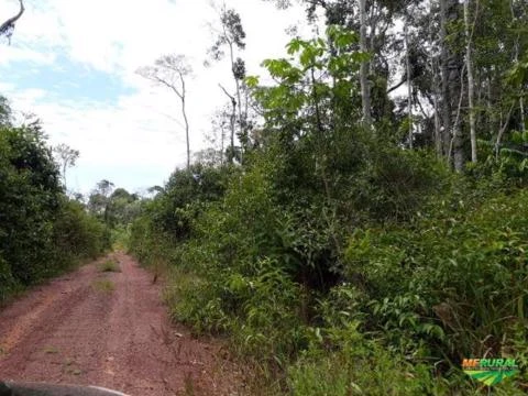 Fazenda em mata em Roraima