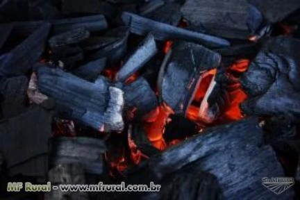 Carvão vegetal para churrasco peneirado e empacotado