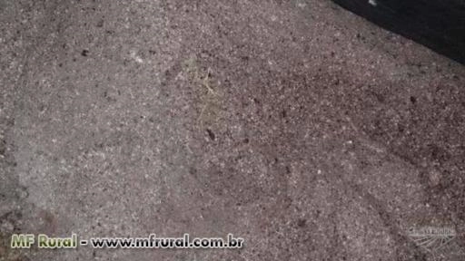 Imagem VARREDURA NPK Imagem VARREDURA NPK