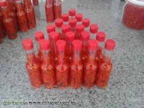 Pimenta Malagueta