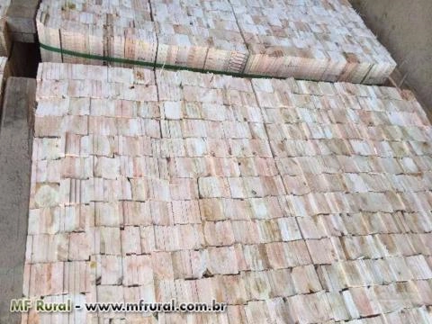 MADEIRA DE EUCALIPTO PARA PALETES Imagem MADEIRA DE EUCALIPTO PARA PALETES