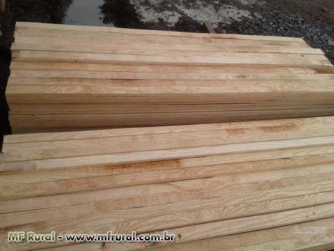 Compro madeira serrada verde ou seca em estufa para exportação