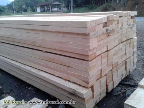 Compro madeira serrada verde ou seca em estufa para exportação