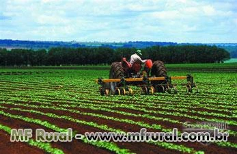 Crédito Rural - Consórcio Rural para terras e equipamentos