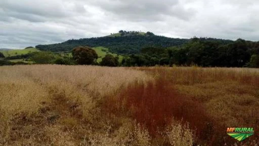 FAZENDA NA REGIÃO DE LONDRINA PR