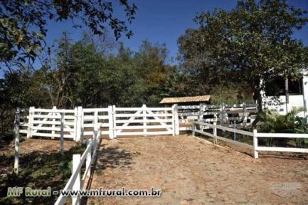 FAZENDA VERA CRUZ