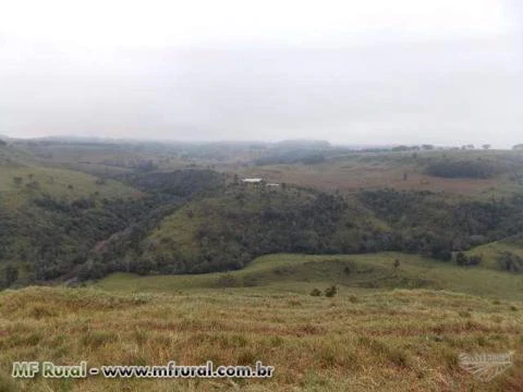 FAZENDA 510 ALQUEIRES AVALIADA EM 30 MILHÕES - OFERTA