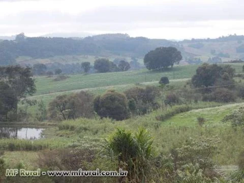 FAZENDA 510 ALQUEIRES AVALIADA EM 30 MILHÕES - OFERTA