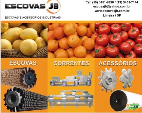 Escovas Industriais em 100% Fibra Coco, Nylon, Pita, Nylon Imagem Escovas Industriais em 100% Fibra Coco, Nylon, Pita, Nylon