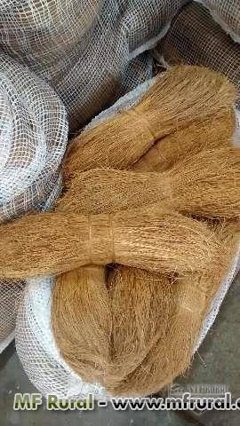 Imagem Fibra de Coco Longa Imagem Fibra de Coco Longa