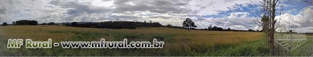 Terras em Cássia dos Coqueiros (7,7 Alqueires, aprox. 1km do Itambé)