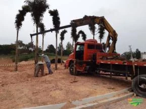 Locação de caminhão Munck em Taboão da Serra e região