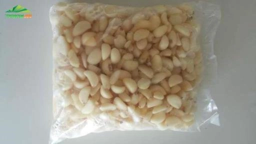 ALHO DESCASCADO Imagem ALHO DESCASCADO