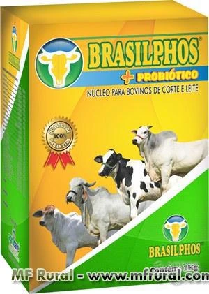 BRASILPHOS + PROBIÓTICO 01 KG (FRETE GRÁTIS ACIMA de 10 KG)