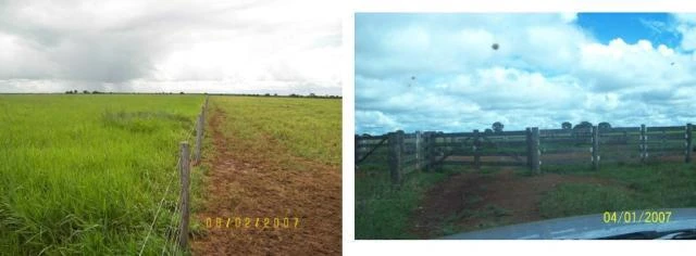 Fazenda na região de Porangatu GO com  5.207 hectares