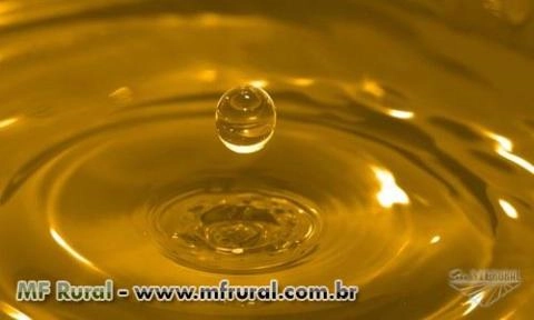 COPAIBA Imagem COPAIBA