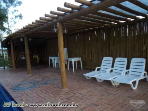 Pergolado em Eucalipto Imagem Pergolado em Eucalipto