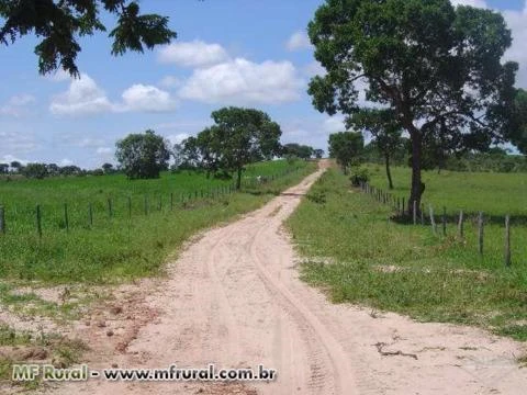 Fazenda em João Pinheiro