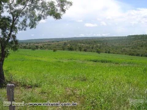 Fazenda em João Pinheiro