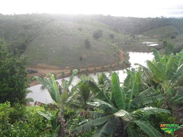 Fazenda em Una - Bahia