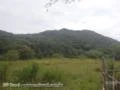 Terreno Rural com Mata Atlântica - Reserva Legal