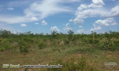 Fazenda com possibilidade de irrigação em Alvorada do Norte - GO