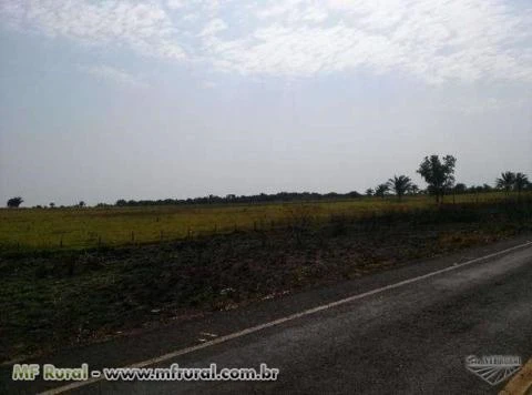 Fazenda a 50km de maraba top