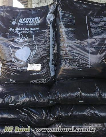 Substrato para plantas Imagem Substrato para plantas