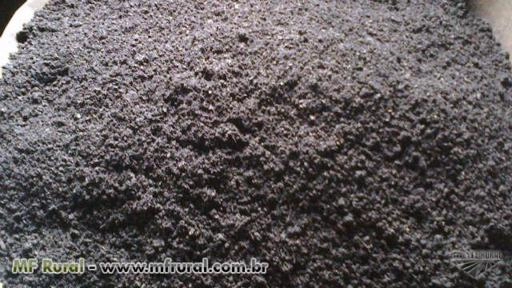 Imagem Substrato para plantas Imagem Substrato para plantas