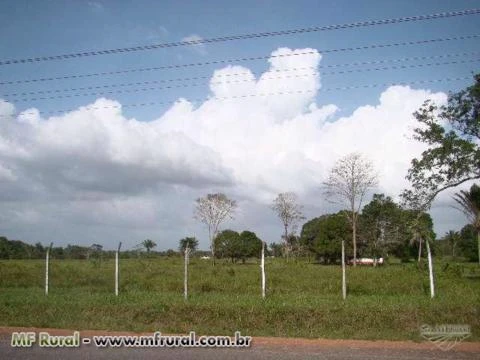 Fazenda 340 Ha Vigia - Pará