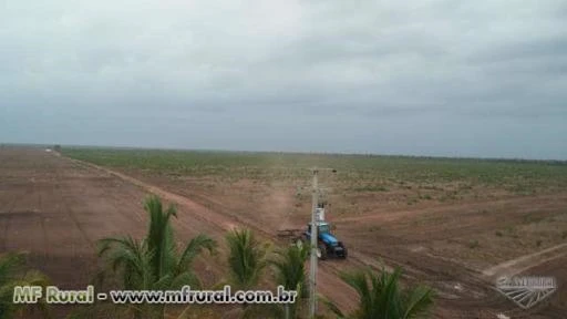 Fazenda em Santa Quitéria do Maranhão - MA