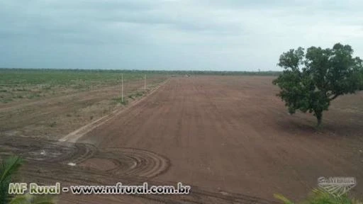 Fazenda em Santa Quitéria do Maranhão - MA