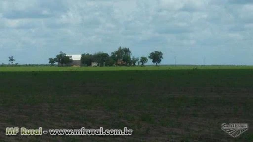 Fazenda em Santa Quitéria do Maranhão - MA