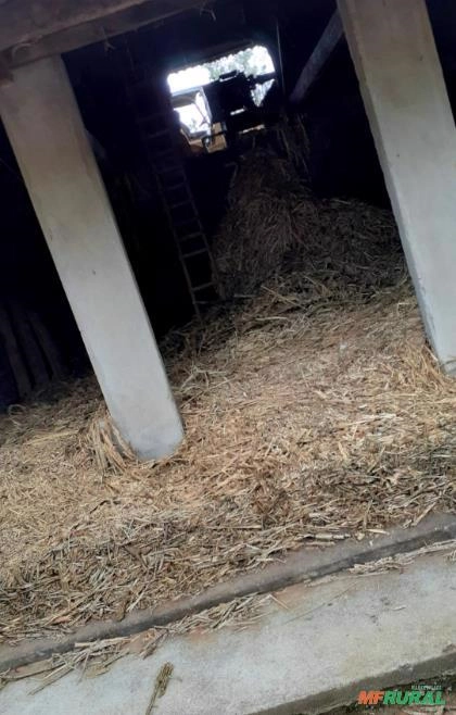 Imagem Equipamentos para fabricação de cachaça e rapadura Imagem Equipamentos para fabricação de cachaça e rapadura