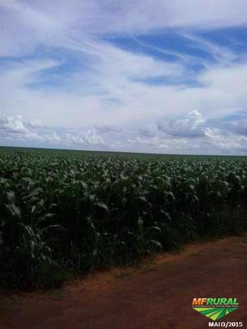 Fazenda com 9.967 hectares - Em Novo São Joaquim/MT