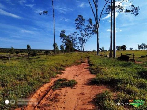 Fazenda 606ha em Santa Rita do Pardo/MS