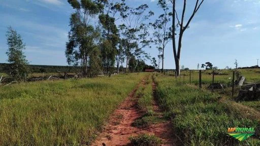 Fazenda 606ha em Santa Rita do Pardo/MS