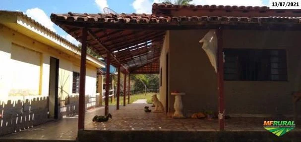 Chácara 3ha em Espírito Santo do Pinhal/SP