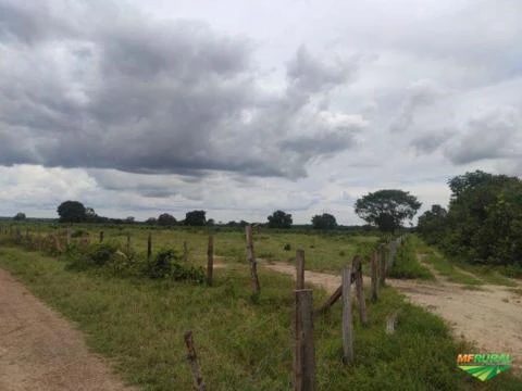 Fazenda com 505 hectares em Dueré/TO