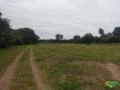 Fazenda com 505 hectares em Dueré/TO