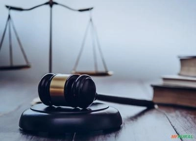 Conjunto de Máquina p/ Beneficiamento de Citrus em Urânia/SP Imagem Conjunto de Máquina p/ Beneficiamento de Citrus em Urânia/SP