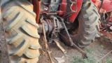 Trator Massey Ferguson 283