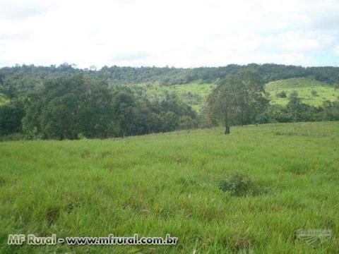 Fazenda em Tucuruí no Pará de 438,1719 ha