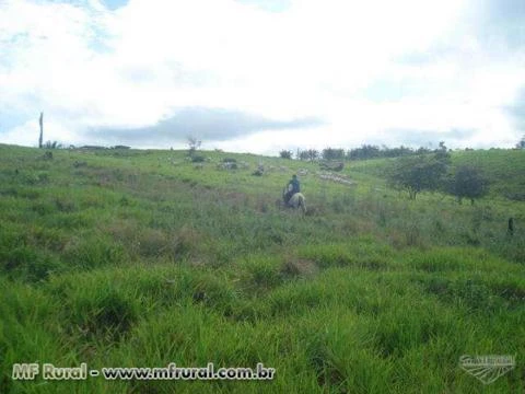 Fazenda em Tucuruí no Pará de 438,1719 ha