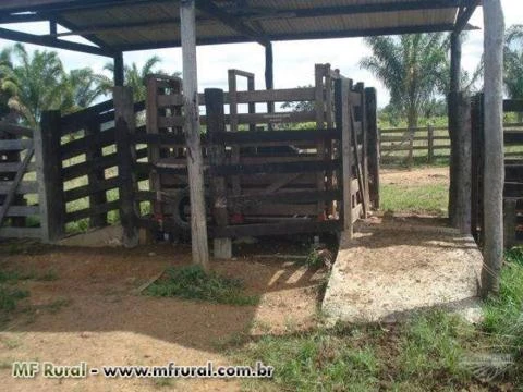 Fazenda em Tucuruí no Pará de 438,1719 ha