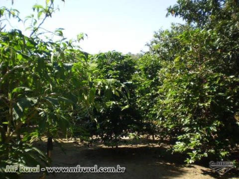 Ótima Chácara em Iperó, c/ 25.700m2, Apenas a 6 Km. do Centro da Cidade