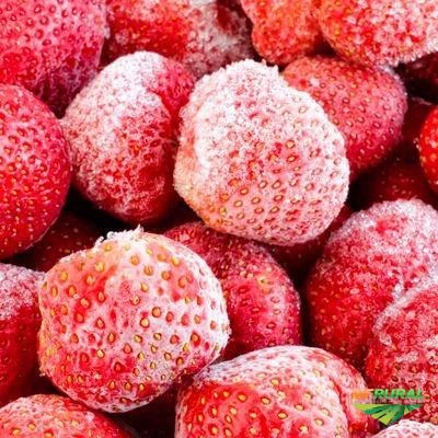 Morango congelado Imagem Morango congelado
