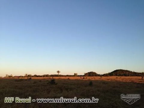 Juara/MT - Fazenda de pecuária com vocação para agricultura